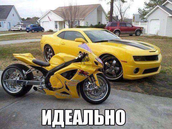 Нові автоприколы - смішні картинки