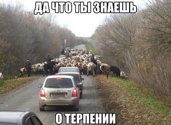 Свіжа добірка автоприколов. Автомобільний гумор