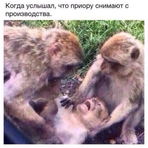 Смішні картинки - авто приколи