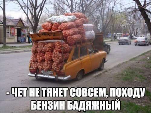 Свіжі приколи про автомобілі