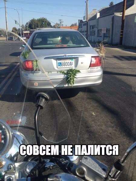 Свіжі приколи про автомобілі