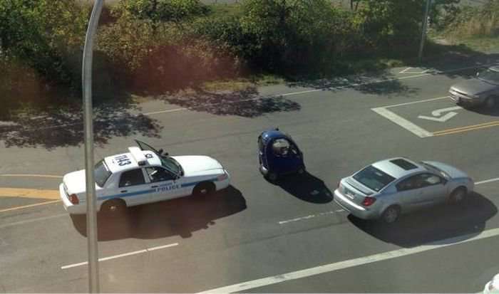 Автомобільний гумор в картинках. Найкраща підбірка